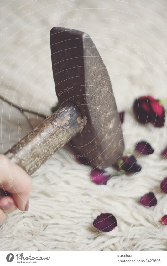 hammer zerstört eine rose Fotochallenge Hammer wohnen Rosen Rosenblütenblätter Brille Gewalt Zerstörung Romantik Eiffersucht Kommunismus Russland Vergangenheit