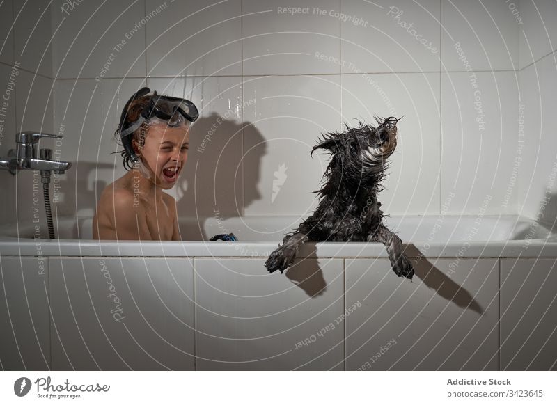 Glücklicher Junge mit seinem Hund in der Badewanne duschend Wasser Dusche Kindheit heimwärts wenig Sauberkeit Kaukasier Lifestyle Hygiene Fröhlichkeit Lächeln