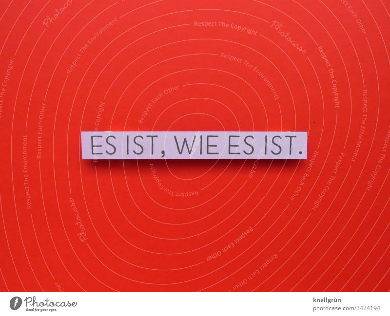 Es ist, wie es ist. Kommunizieren Sprache Wort Buchstaben Typographie Lateinisches Alphabet Kommunikation Schriftzeichen Großbuchstabe Text Letter pragmatisch