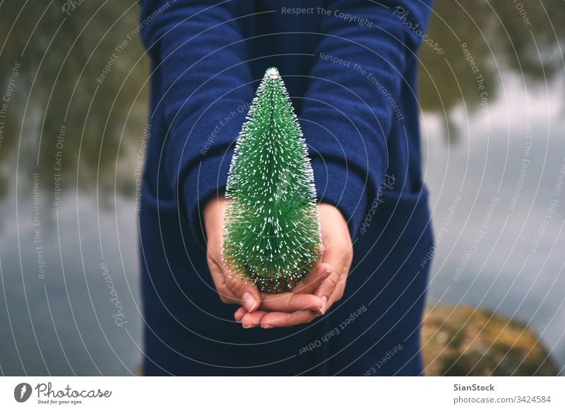 Frau hält einen Weihnachtsbaum im Wald, Wintertag Baum Mädchen Hand im Freien weiß rot schön Weihnachten jung Glück Hintergrund Feiertag Spaß Saison