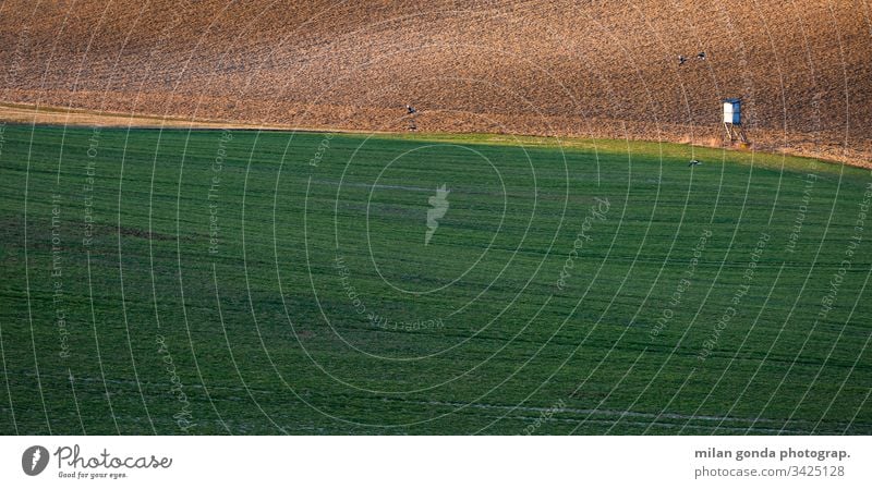 Ländliche Landschaft der Region Turiec in der Nordslowakei. Slowakische Republik ländlich Bereiche Frühling Ackerbau Natur Jagdausguck Elster