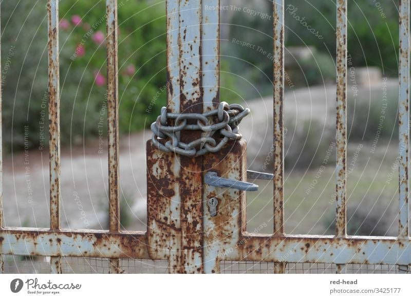 rostiges Gartentor mit Kette verschlossen, mit unscharfem Hintergrund geschlossen Corona Metall Türschloss Außenaufnahme Tag Detailaufnahme Nahaufnahme Farbfoto