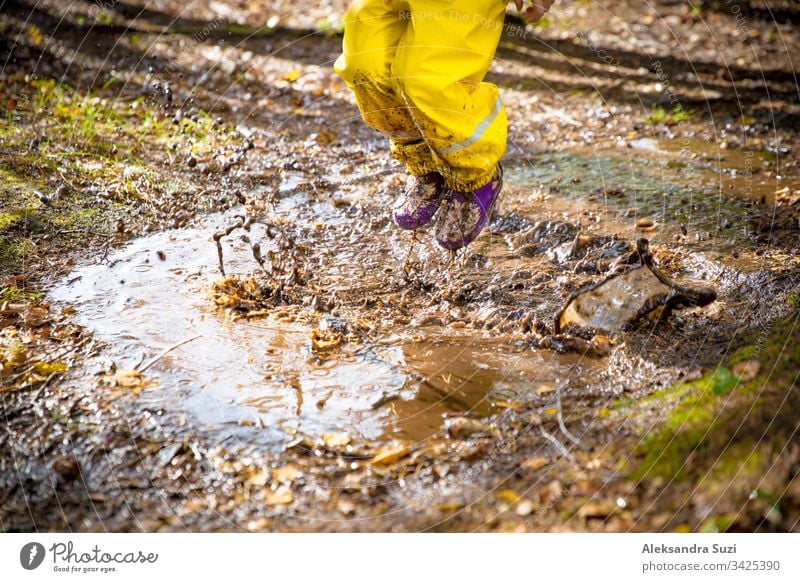 Süßes kleines Mädchen springt in einer schlammigen Pfütze und trägt einen gelben Gummioverall. Glückliche Kindheit. Sonniger Herbstwald bezaubernd Stiefel offen