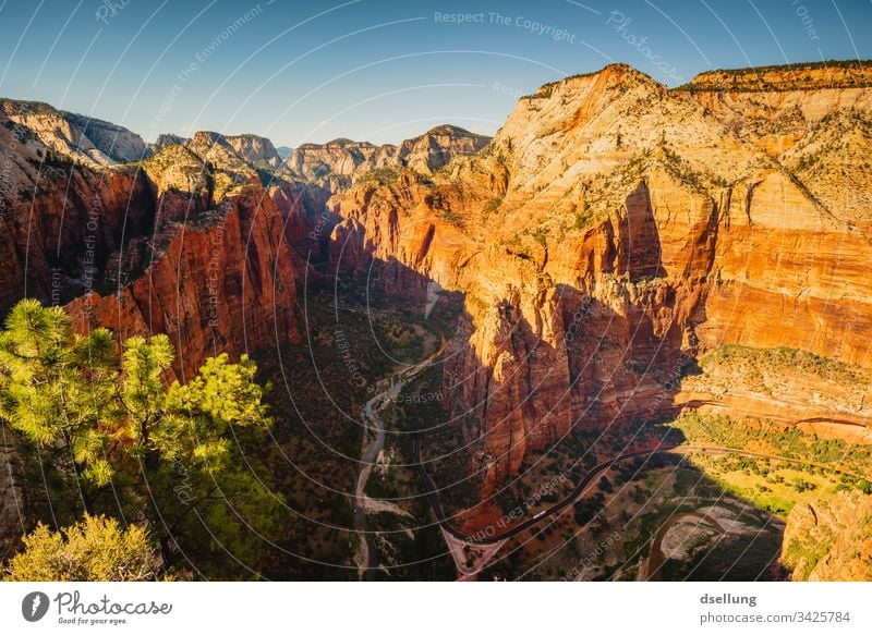 Aussicht in den Zion Canyon im Sonnenuntergang Abend Westen Urelemente Ausflug wandern Freiheit Fernweh Erde Stein Kontrast Sommer Berge u. Gebirge Sonnenlicht