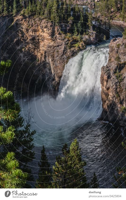 Wasserfall zwischen den Bäumen von oben aufgenommen bei gutem Wetter Yellowstone Nationalpark Fluss Schatten harmonisch Sonnenlicht Camping Expedition