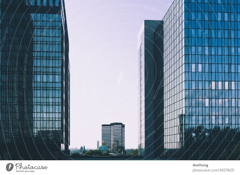 Spiegelnde Hochhäuser bei wolkenlosem Himmel Tag Außenaufnahme Stadtbild urban Glas Lichtschein Fenster Wand gefiltert Turm Grundbesitz Hotel Business District