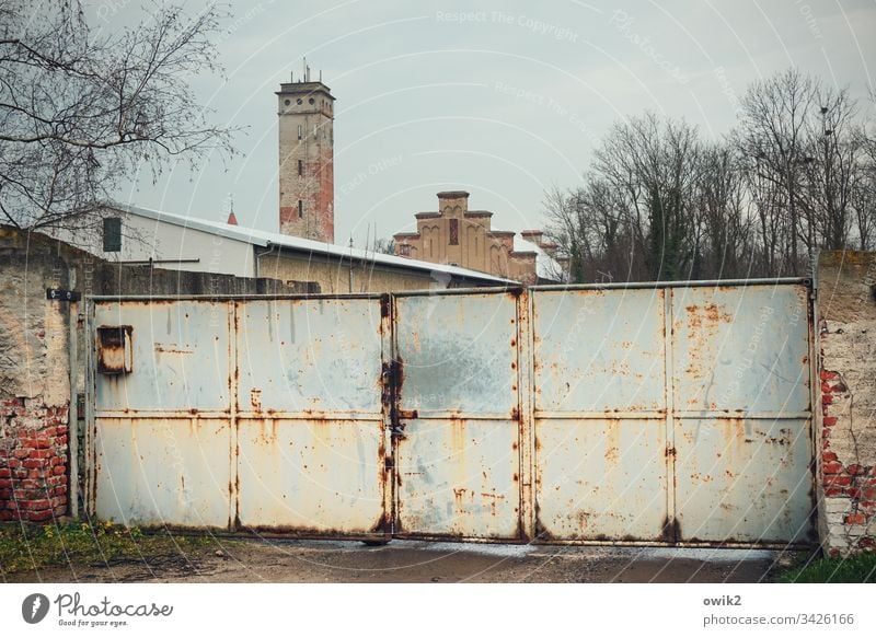 Mühlberg, Elbe Tor Turm Haus Mauer Bäume Himmel bewölkt Absperrung zu geschlossen trist Außenaufnahme Farbfoto Tag Gebäude Tür Fassade Bauwerk Mühlberg/Elbe