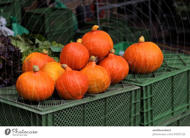 Hokkaido Kürbisse auf dem Wochenmarkt Hokkaido-Kürbis Hokkaidokürbis Markt Lebensmittel Gemüse Vegetarische Ernährung Menschenleer Gesunde Ernährung Bioprodukte