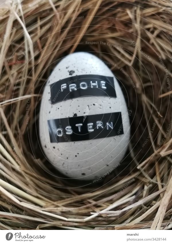 Frohe Ostern Lebensmittel Gefühle Stimmung Osterei Osternest Glückwünsche Überraschung Unschärfe Farbfoto Innenaufnahme Nahaufnahme Detailaufnahme Makroaufnahme