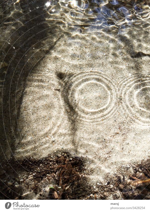 Wasseroberfläche mit Ringen, die sich ausbreiten und auch überschneiden. Schatten der Wasserringe auf sandigem Grund. wellig Lichteinfall Licht & Schatten