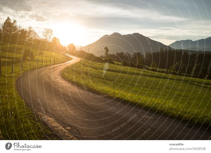 Nebenstrasse in den Bergen mit Sonnenuntergang Wege & Pfade Straße Sonnenlicht Gegenlicht Berge u. Gebirge Österreich Alpen Wiese Bauernhof