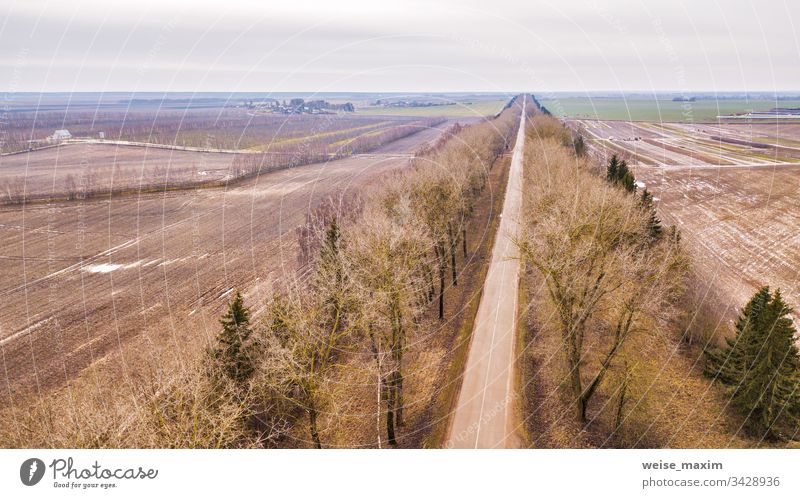 Gerade Straße in einer Allee von trockenen Bäumen ohne Blätter im Winter / Anfang Frühling Luftaufnahme Weg gerade Bauernhof ländlich Garten Bereiche Antenne