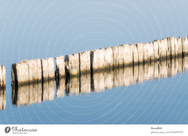 Holzhocker Hanf im ruhigen Wasser des Sees am Nachmittag im Herbsthintergrund Herbstansicht Hintergrund blau Windstille Klima Farbe Spalte Wassersäule Tag