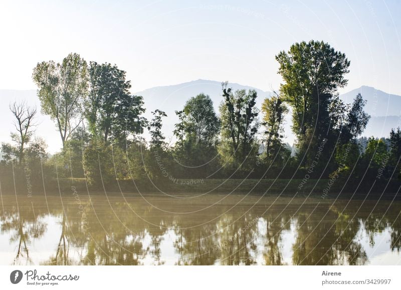 Der Wetterbericht kündigte für das Flusstal nach Nebelauflösung am Morgen einen sonnigen Tag an. Natur Seeufer ruhig Reflexion & Spiegelung Wasserspiegelung