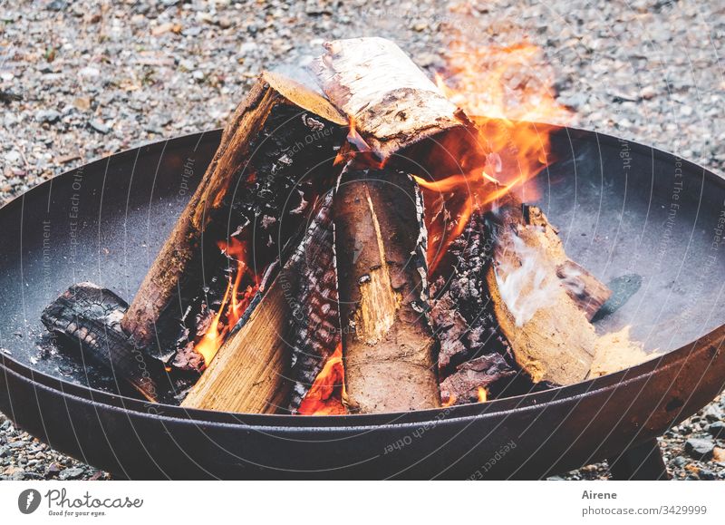 Hier riecht's doch nach... | Holzfeuer Feuer brennen Feuerschale Grillen Grillrost Ausflug Abenteuer Rast Grillplatz Hitze heiß Metallschale Feuerholz feuerrot