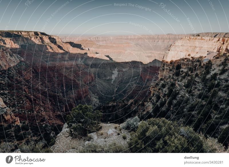 Blick in den Grand Canyon im Sonnenuntergang Abend Westen Urelemente Ausflug wandern Freiheit Fernweh Erde Stein Kontrast Sommer Berge u. Gebirge Sonnenlicht