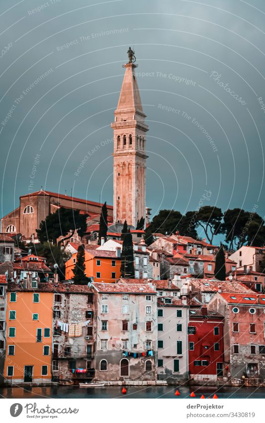 Rovinj in Istrien 2 entspannung Ferien & Urlaub & Reisen Hintergrund neutral Küstenlinie ästhetisch Adria Insel Kirchturm Starke Tiefenschärfe Farbfoto