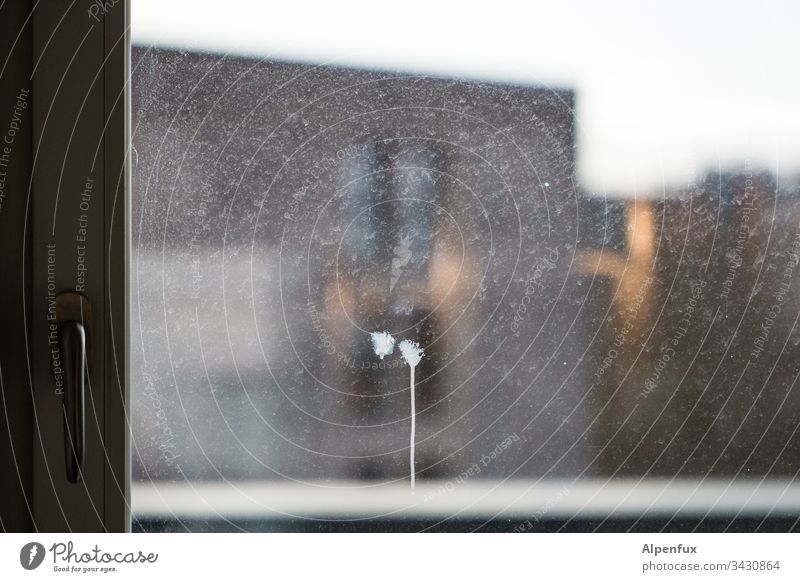 haste schiss ? Fenster Fensterscheibe dreckig Glas Menschenleer Farbfoto Glasscheibe durchsichtig Außenaufnahme Innenaufnahme Tag Scheibe Fensterrahmen Aussicht