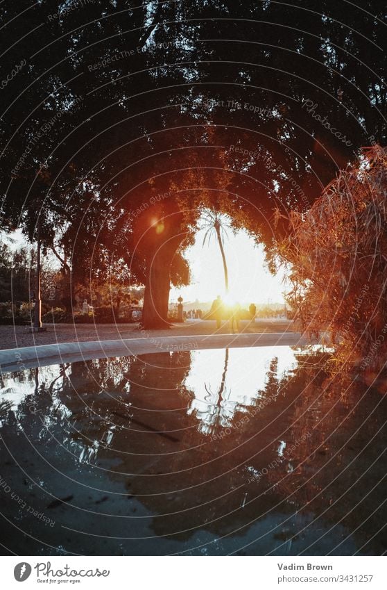 Sonnenuntergang in Rom Wasser Springbrunnen Handfläche Bäume