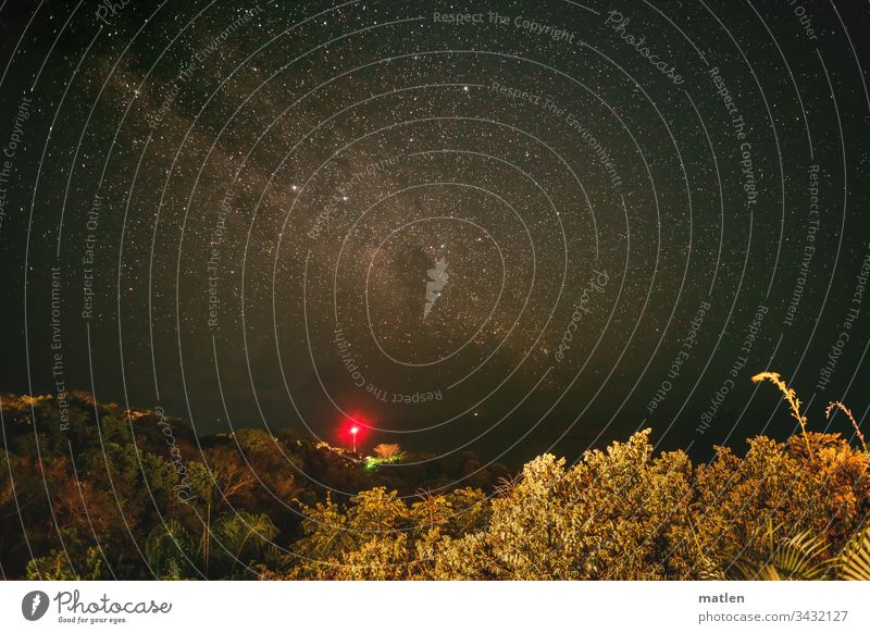 tropische Nacht Tropen Sternenhimmel Himmel dunkel Außenaufnahme Langzeitbelichtung Wald Leichtfeuer Horizont Palmen Wärme Menschenleer sternenklar Nachthimmel