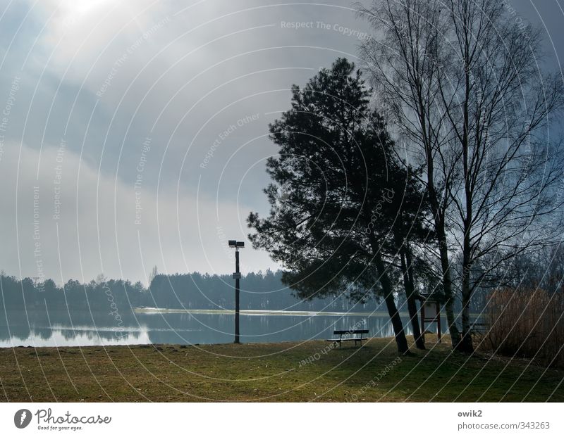 Ökobank Laternenpfahl Bank Umwelt Natur Landschaft Tier Himmel Wolken Horizont Frühling Klima Wetter Schönes Wetter Pflanze Baum Seeufer Erholung leuchten frei