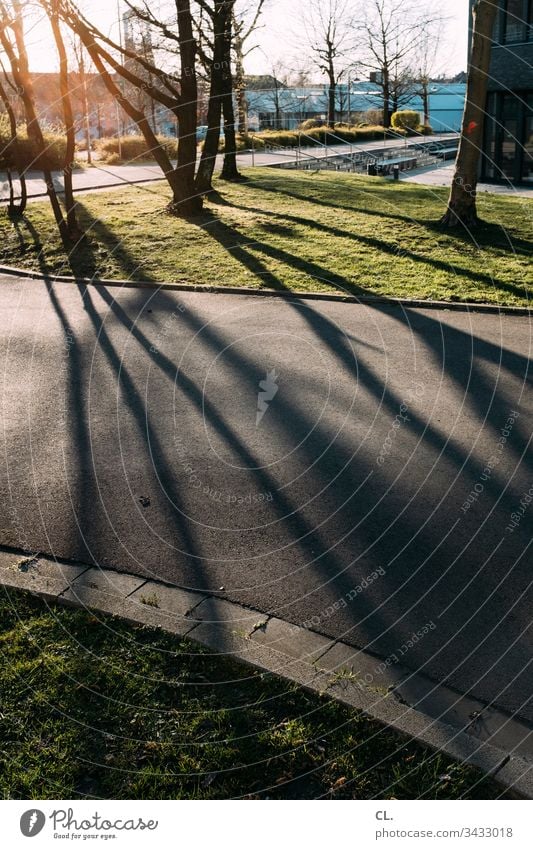 im park Park gehweg Schatten Schattenspiel Sonnenlicht Bäume Natur Menschenleer Farbfoto Außenaufnahme Tag Licht Schönes Wetter Baum Wiese ruhig Gras