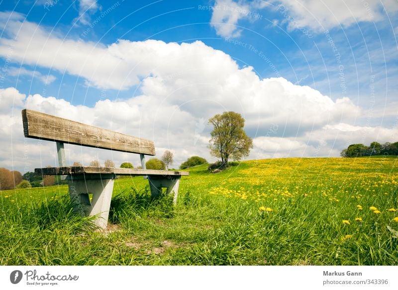 Bank im Grünen Erholung Sommer Natur Landschaft Blume Gras Grünpflanze Wiese blau gelb grün Freizeit & Hobby Wolken Löwenzahn ruhig Wärme Farbfoto Außenaufnahme