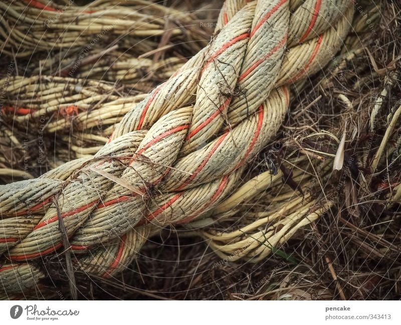 Rømø | come together Seil authentisch muskulös rund stark Ehrlichkeit Zusammenhalt Tau Nordsee Strandgut Gesellschaft (Soziologie) Muster Rettungsgeräte