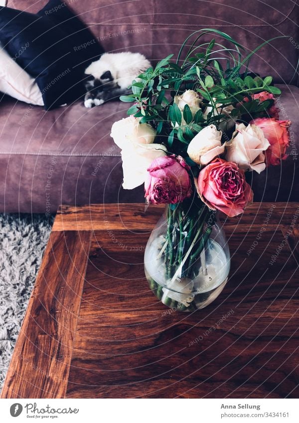 Verdorrte Blumen auf einem Holztisch mit schlafender Katze im Hintergrund abstrakt Stillleben Farbfoto Menschenleer Innenaufnahme Detailaufnahme