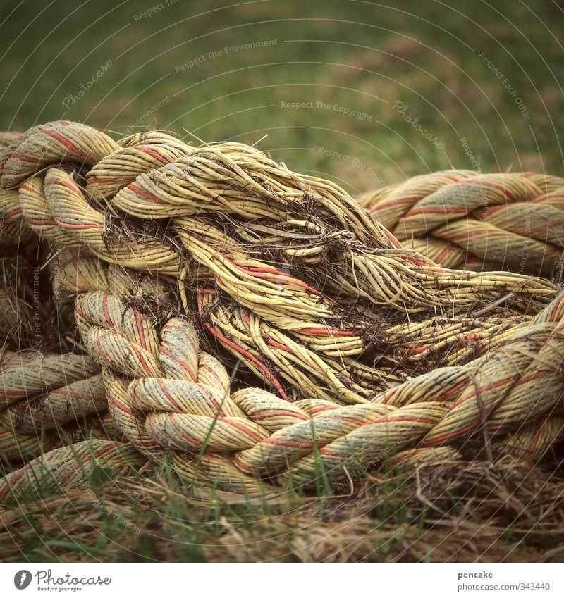 Rømø | morgentau Natur Urelemente Erde Frühling Gras Küste Nordsee Schifffahrt Seil Sammlerstück Zeichen authentisch Originalität Kommunizieren komplex Rettung