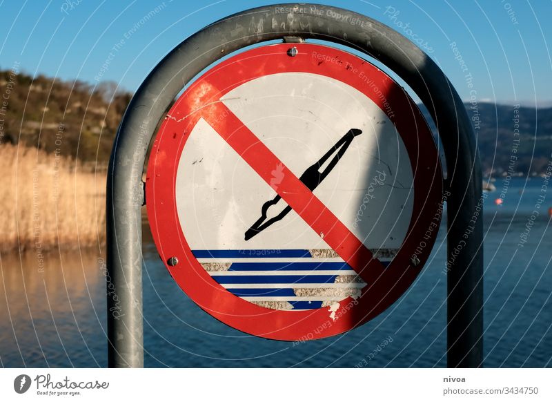 Verbotsschild Schilder & Markierungen Zürich See Seeufer Freibad Außenaufnahme Wasser Farbfoto Tag Menschenleer Natur blau verboten springen Badehose Schilfrohr