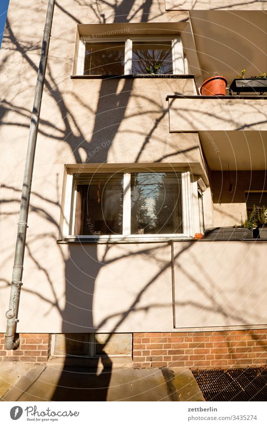 Fassade mit Schatten ast außen baum frühjahr frühling menschenleer natur pflanze ruhe stamm strauch textfreiraum tiefenschärfe wiese zweig licht schatten sonne