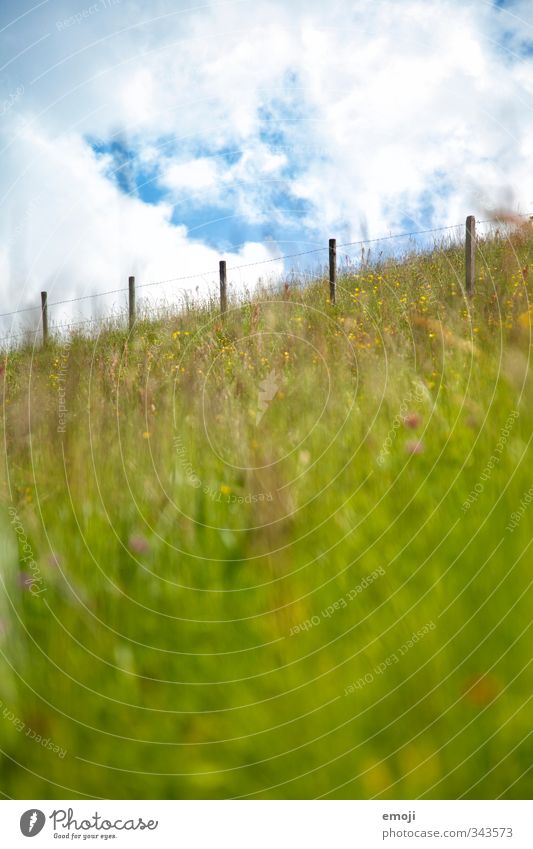 bergauf Umwelt Natur Landschaft Himmel Sommer Schönes Wetter Gras Wiese Feld natürlich grün Zaun Farbfoto Außenaufnahme Menschenleer Tag Schwache Tiefenschärfe