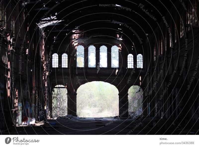 Halle in Halle frühling strauch skurril dunkel alt kaputt sonnenlicht perspektive innenleben tor lost places gemäuer wand historisch spooky altehrwürdig kulisse