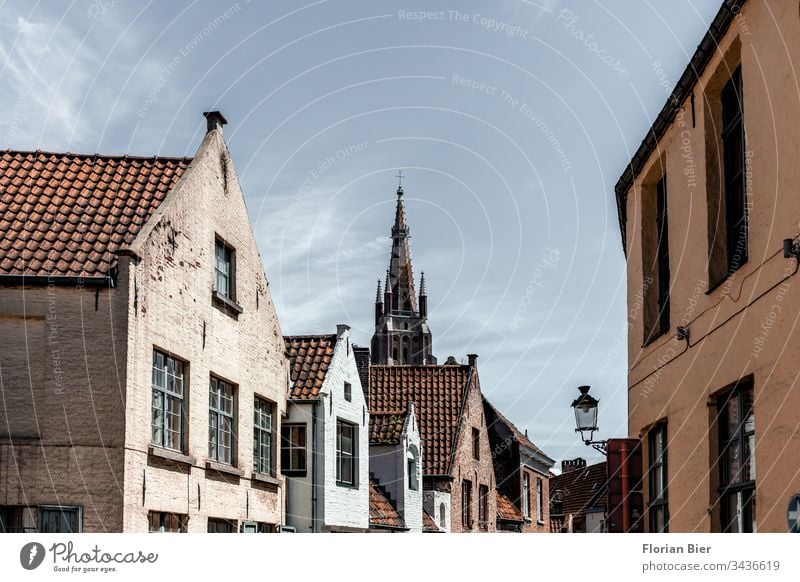 Wohnhäuser in der Altstadt von Brügge mit Blick auf die Liebfrauenkirche Haus Fenster Fassade Baustil Fensterscheibe Stadtzentrum Europa Architektur Gebäude