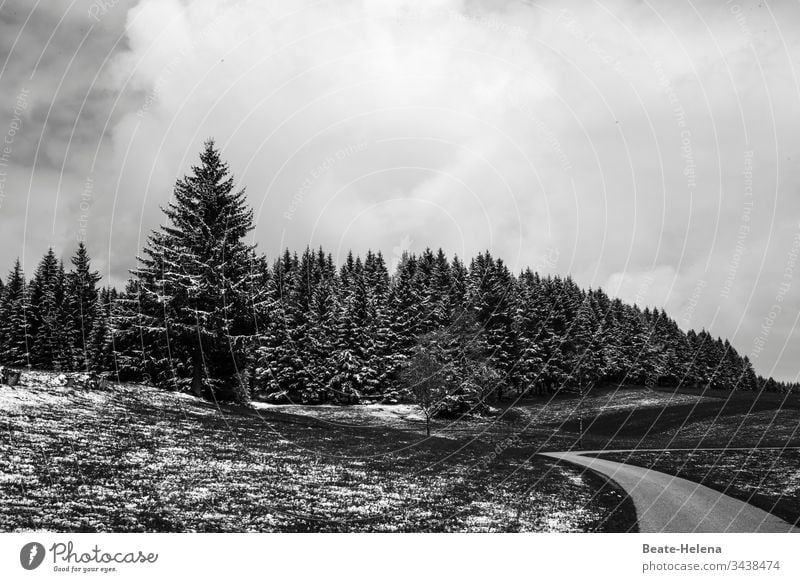 Wintereinbruch im Schwarzwald Schnee düster Winterstimmung Wintertag Wetter kalt Frost winterlich Kälte Winterwald