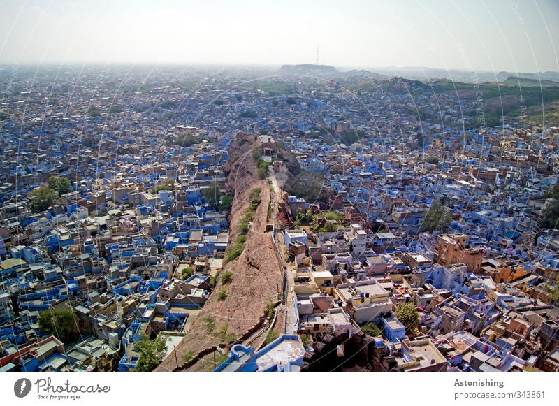 blue city I Umwelt Natur Himmel Horizont Sonne Wetter Schönes Wetter Baum Hügel Jodphur Rajasthan Asien Indien Stadt Haus Hütte Ruine Bauwerk Gebäude Mauer Wand