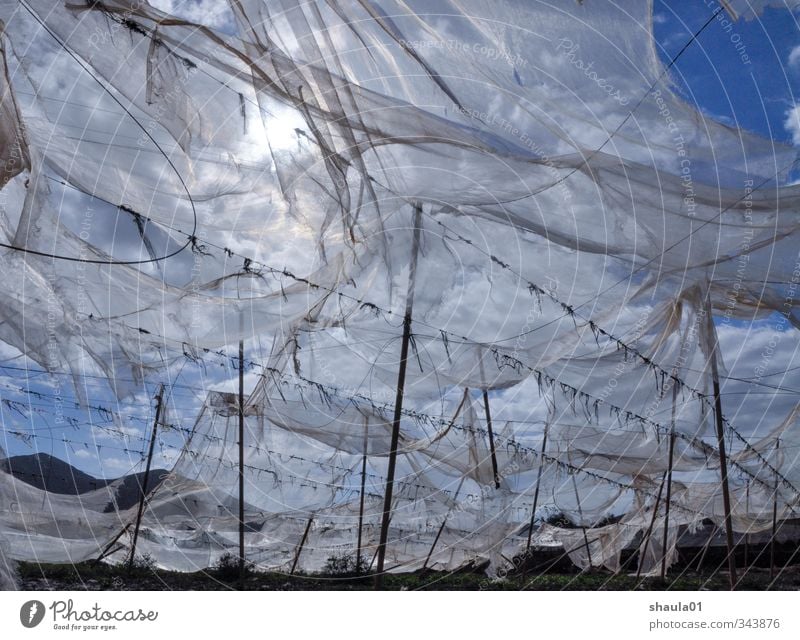 tattered skies Landschaft Luft Himmel Sonne Sonnenlicht Wind Feld blau Vergänglichkeit Ferne luftig gerissen flattern Gaze wehen Tuch Farbfoto Außenaufnahme