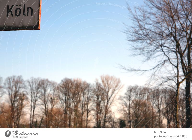 Köln Himmel Stadt Wald Bäume Schönes Wetter Umwelt Sonnenlicht Baum Landschaft Schilder & Markierungen Hinweisschild Heimat Schriftzeichen NRW Kölsch