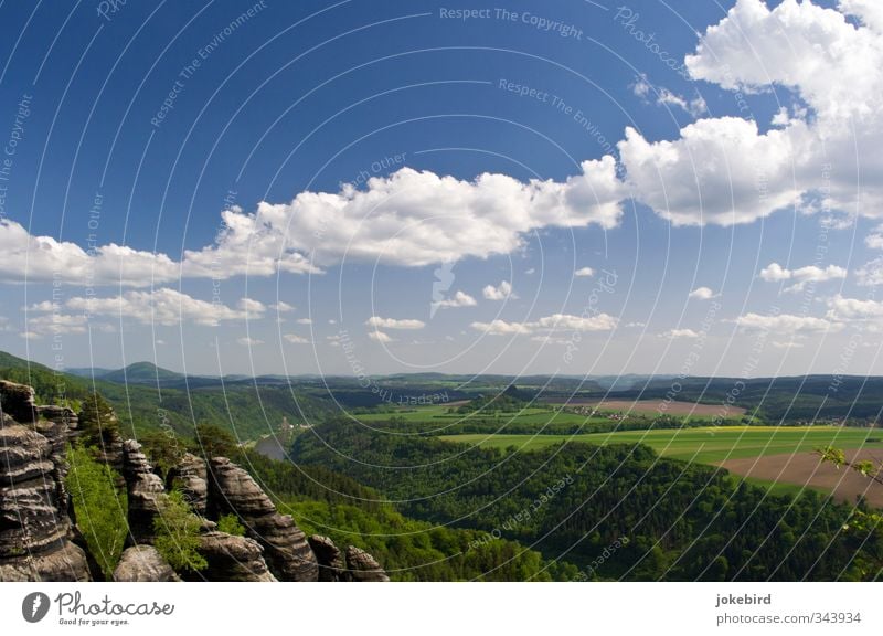 Sächsische Schweiz Landschaft Himmel Wolken Sommer Feld Wald Felsen Fluss Elbe Mischwald Tafelberg Mittelgebirge Rapsfeld Sandstein Elbsandsteingebirge Ferne