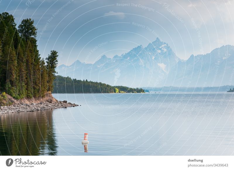 See mit einem Ufer voller Bäume und leicht weißen Gipfeln im Hintergrund Sonnenlicht Tourismus wandern Außenaufnahme Ausflug Natur Landschaft sommerlich Sommer