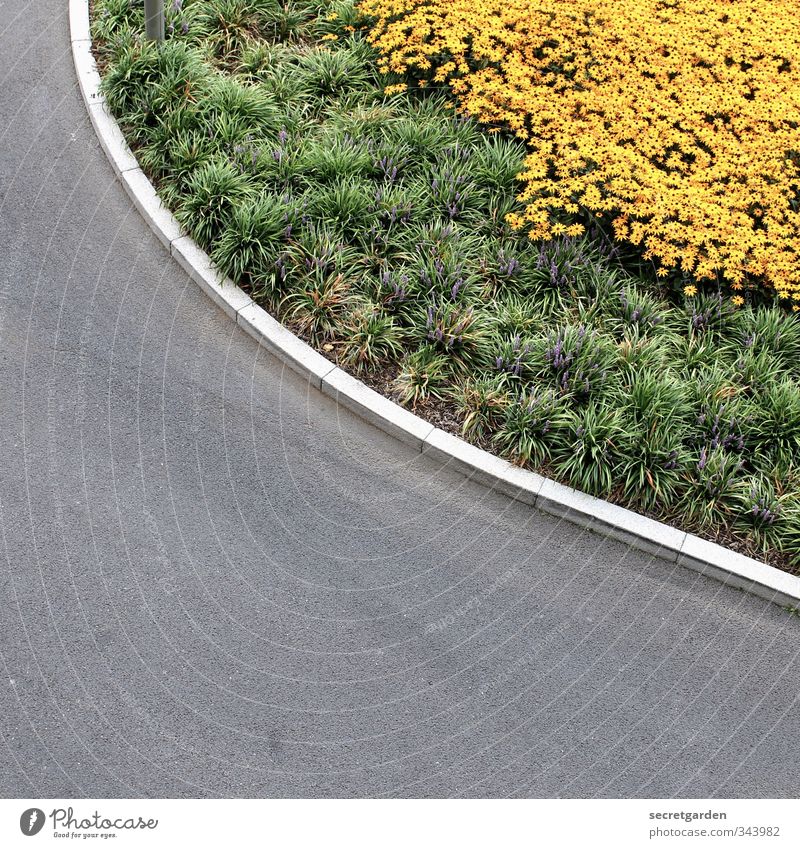 runde ecke. Umwelt Natur Pflanze Tier Sommer Blume Sträucher Grünpflanze Verkehr Verkehrswege Straße Wege & Pfade Wegkreuzung eckig unten Stadt gelb grau grün