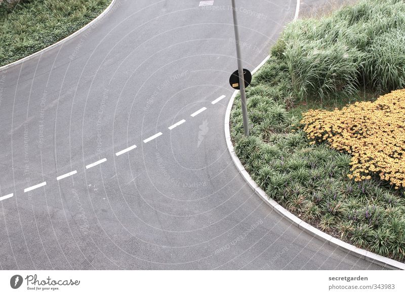 was befindet sich hinter der nächsten biegung? Sommer Verkehr Verkehrswege Straße Straßenkreuzung Wege & Pfade Wegkreuzung rund grau grün Markierungslinie