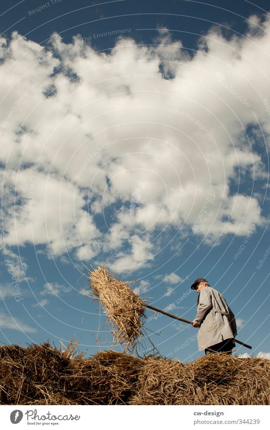 Erntehelfer Freizeit & Hobby Erntedankfest Gartenarbeit Landwirtschaft Forstwirtschaft Handwerk Ruhestand Mensch maskulin Mann Erwachsene Männlicher Senior