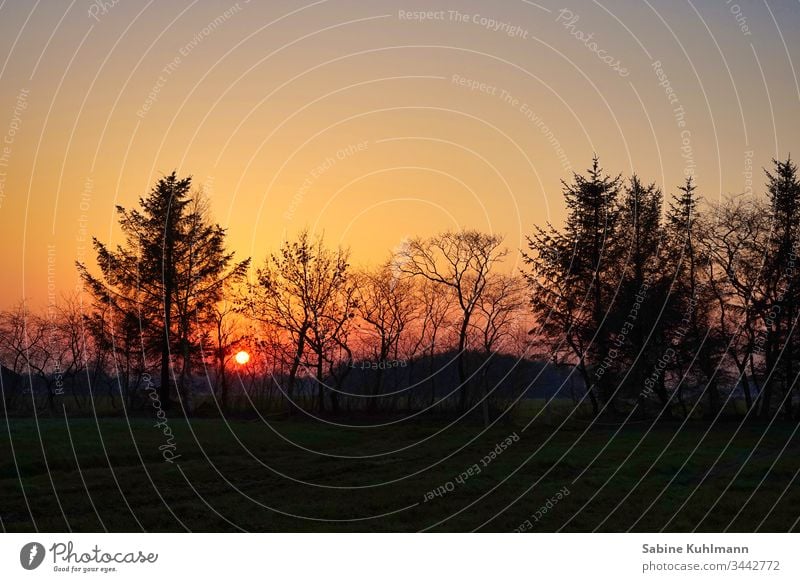 Sonnenuntergang Abend Abenddämmerung Abendsonne Abendstimmung Abendröte Himmel Dämmerung Außenaufnahme Silhouette Natur Menschenleer Baum ruhig Farbfoto