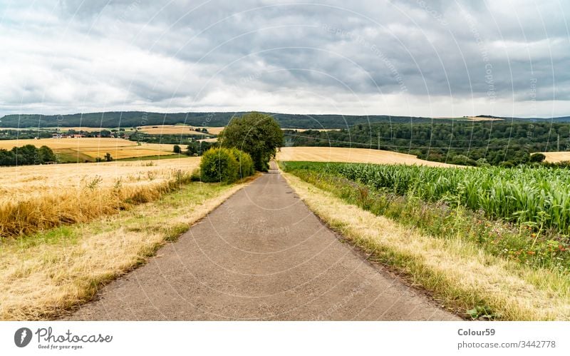 Landwirtschaftliche Felder keine Menschen ländlich Sommer Ackerbau Weg Straße Gras Wiese grün Natur Landschaft Ansicht Himmel blau Hintergrund schön Saison