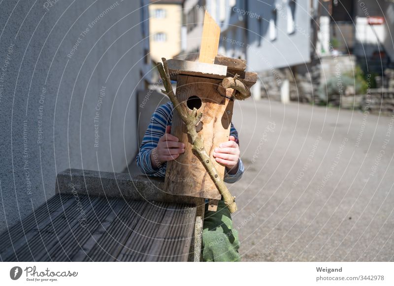 Nistkasten Vogel Umweltschutz Basteln Sohn Haus Freizeit & Hobby Kindheit Holz Frühling