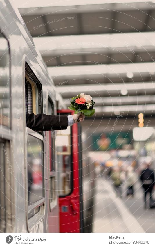 Ankunft Bahnhof bahnhof bahnsteig begrüßung blumenstrauß empfang ankunft abholen arm empfangen hauptbahnhof reise transport überrascht überraschung