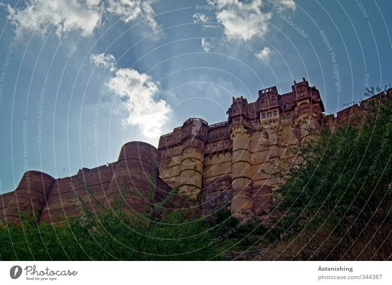 castle Umwelt Natur Himmel Wolken Sonne Sonnenlicht Sommer Wetter Schönes Wetter Pflanze Baum Sträucher Jodphur Rajasthan Indien Asien Stadt Palast