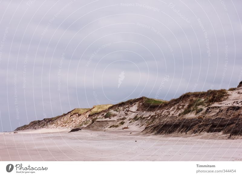 Strandbummel. Ferien & Urlaub & Reisen Umwelt Natur Landschaft Himmel Nordsee Düne Dünengras Sand ästhetisch Gefühle ruhig Farbfoto Gedeckte Farben